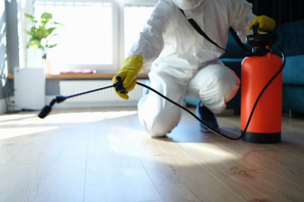 Trusted Sewage Cleanup service in Park Ridge, IL - Four Month Blood Cleanse